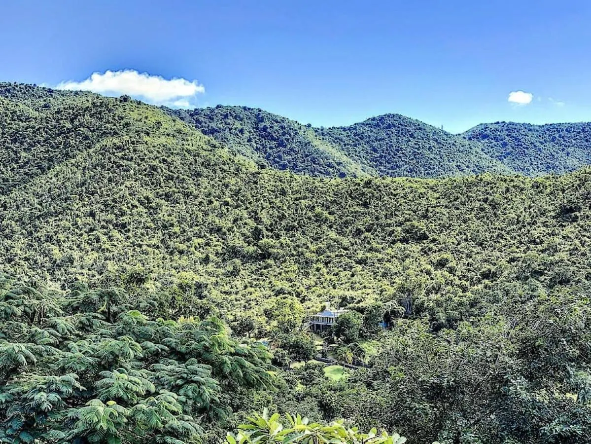 Villa Jungle Paradise, Space And Privacy, At 5 Min From The Beach La Savane シント・マールテン