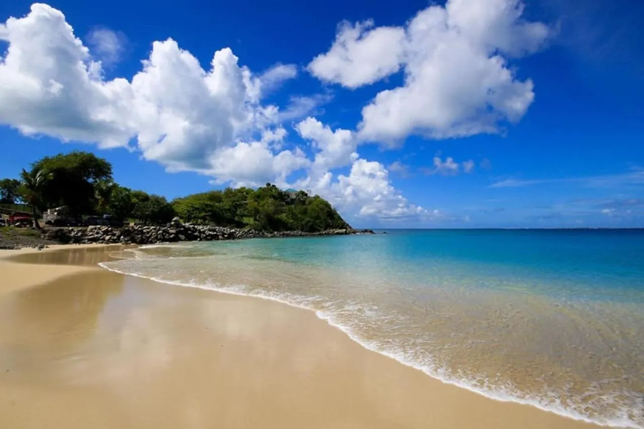 Villa Jungle Paradise, Space And Privacy, At 5 Min From The Beach La Savane シント・マールテン